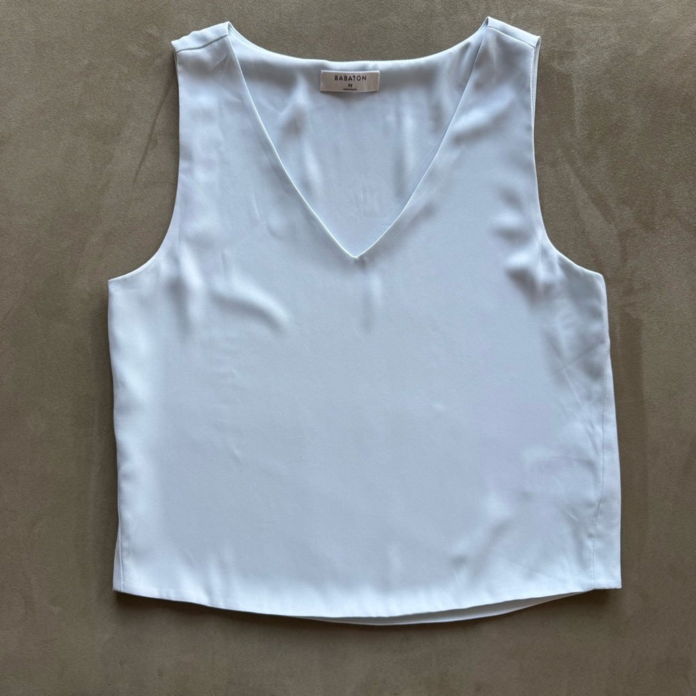 Aritzia Babaton Murphy Blouse